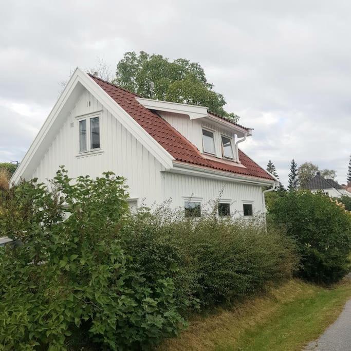 Apartamento Lys Og Lettstelt Leilighet Med Utsikt Over Byen Sandefjord Exterior foto